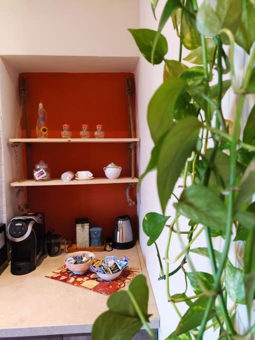 Apartmán Casa Degli Alberi Fiumicino Exteriér fotografie